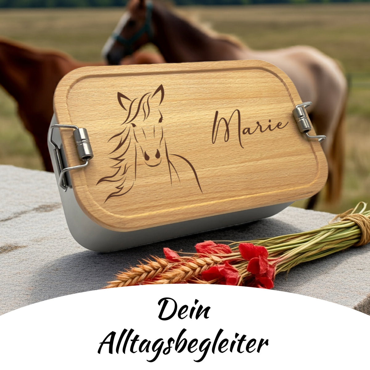 Brotdose mit Buchenholzdeckel und Pferd-Gravur auf der Weide