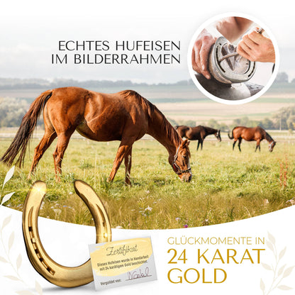 Glückshufeisen im Bilderrahmen "Mr. & Mrs."