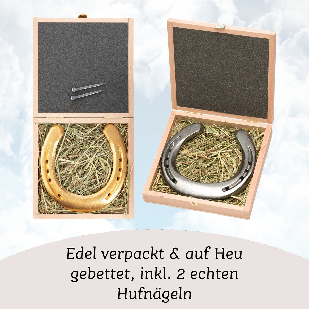 Glückshufeisen mit Holzbox „Tempus fugit, amor manet“ – Ansicht 4